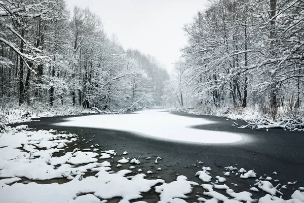 Forest lake bedekt met verse sneeuw — Stockfoto