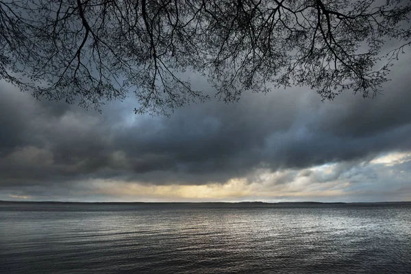 Sjön landskap med trädgrenar under stormen — Stockfoto