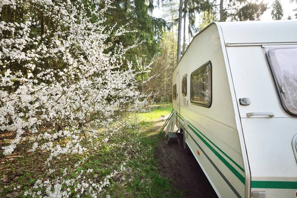 Caravan trailer on a forest road