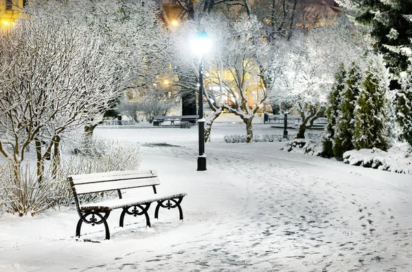 Neve em árvores no parque de Riga à noite — Fotografia de Stock