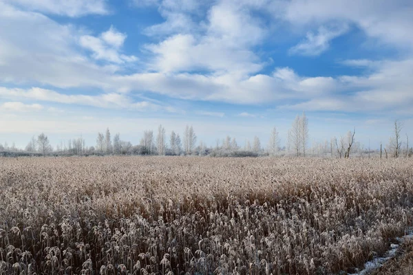 Prati innevati congelati nella campagna russa — Foto Stock