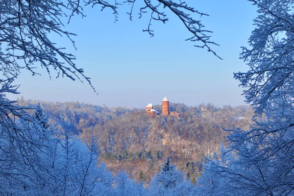 Turaida castle in Latvia during winter — Stock Photo, Image
