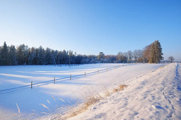 Weg naar het besneeuwde landelijk gebied in de winter — Stockfoto