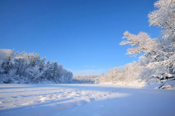 Jäädytetty Gauja-jokinäkymä — kuvapankkivalokuva