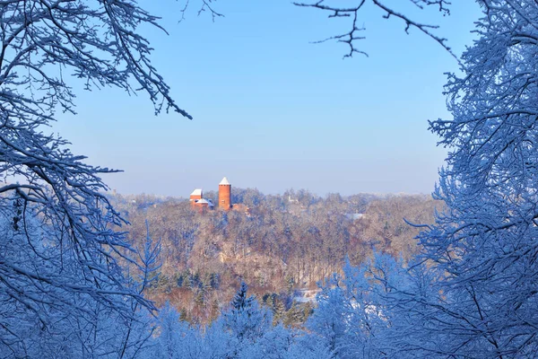 Château de Turaida en Lettonie pendant l'hiver — Photo