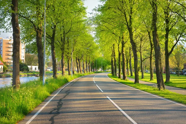 Güzel bisiklet yol ağaçlarıyla çevrili