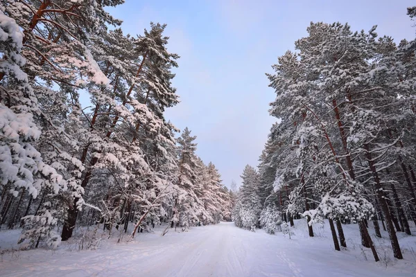 Сільська дорога через зимову країну чудес — стокове фото