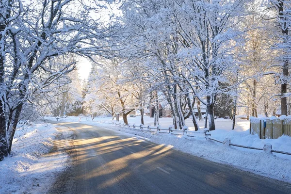 Gün batımında karlı ağaçların kış karayolu — Stok fotoğraf