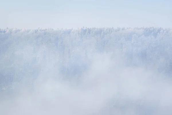Mroźny mgła nad panorama Zima Las — Zdjęcie stockowe