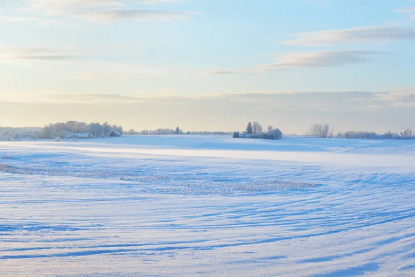Terenuri agricole acoperite de zăpadă în timpul apusului — Fotografie, imagine de stoc