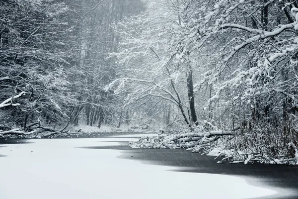 Skogssjö täckt med nysnö — Stockfoto