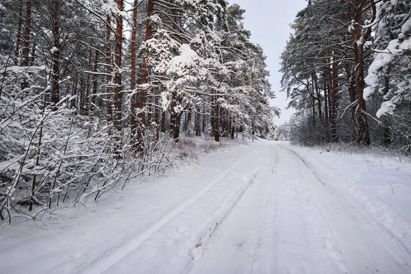 Rural road through a winter wonderland — Stock Photo, Image