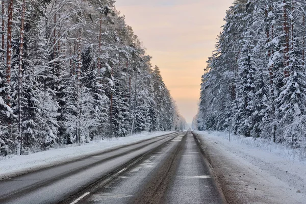 Autostrada forestale in inverno — Foto Stock