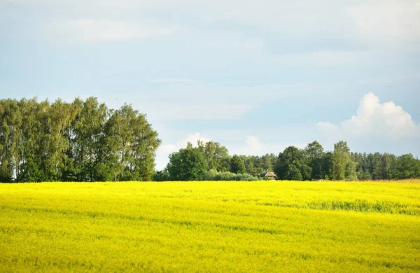 Agricultural field with a distant farm house — Stock Photo, Image