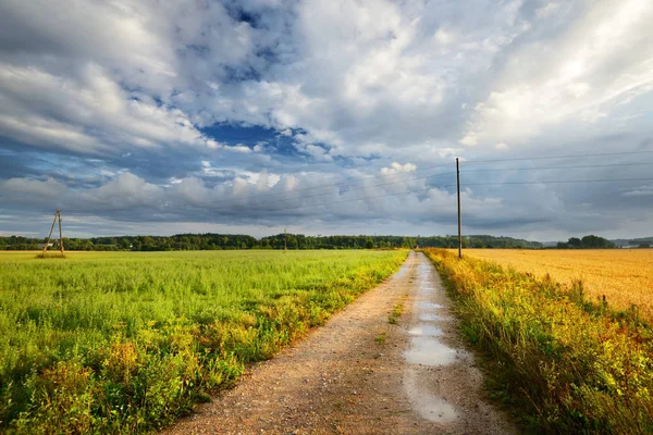 Caminos rurales a través de campos agrícolas — Foto de Stock