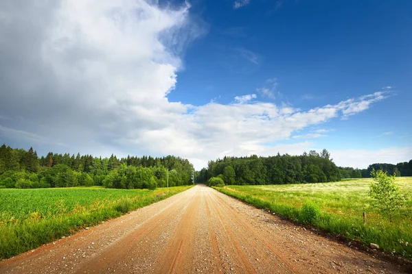 Camino de grava que atraviesa el campo y el bosque — Foto de Stock