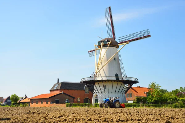 Klasyczny holenderski krajobraz — Zdjęcie stockowe
