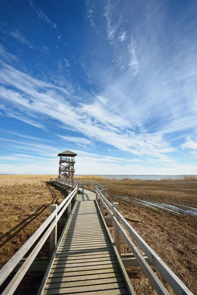 Yaban hayatı gözlem Kulesi bir bataklık bölgesinde
