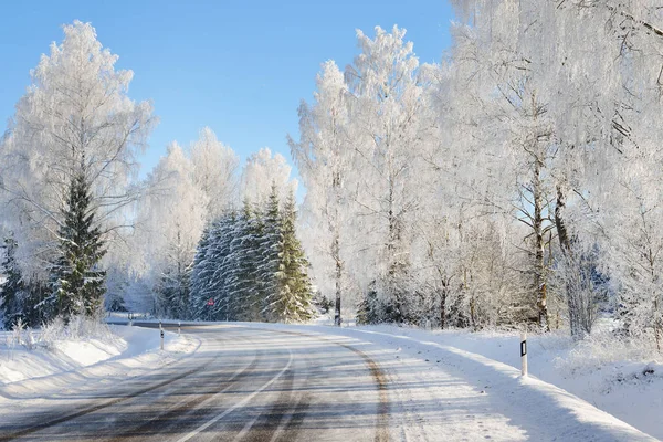 Winter wonderland snowcovered forest road — Stock Photo, Image