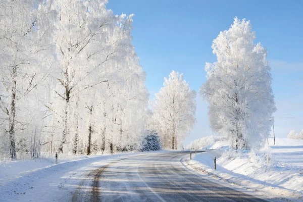 Paese delle meraviglie invernali strada forestale innevata — Foto Stock