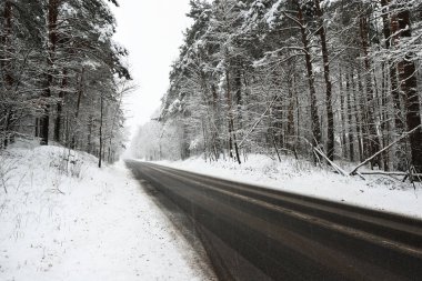 karla kaplı bir ormanda yol asfalt