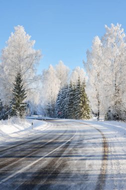 Kış harikalar diyarı irtifa orman yolu
