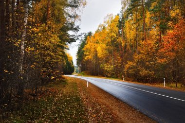 Otoban yol, renkli bir sonbahar ormanındaki 