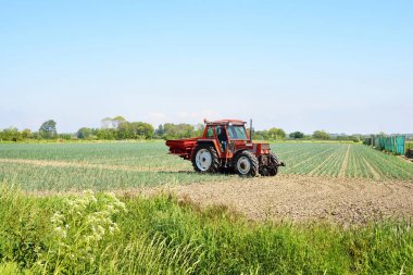 Bir tarlada çalışan traktör 