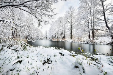 Gölde bir kış orman