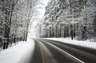 karla kaplı bir ormanda yol asfalt