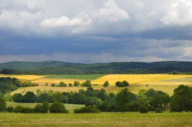 Orman ile tepelerde olgun tarım alanları