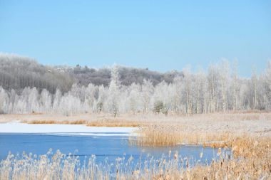 karlı çayır ve orman tarafından çevrili Gölü 