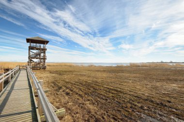 Yaban hayatı gözlem Kulesi bir bataklık bölgesinde