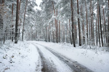 Bir yol bir kış ormanda kar yağışı altında