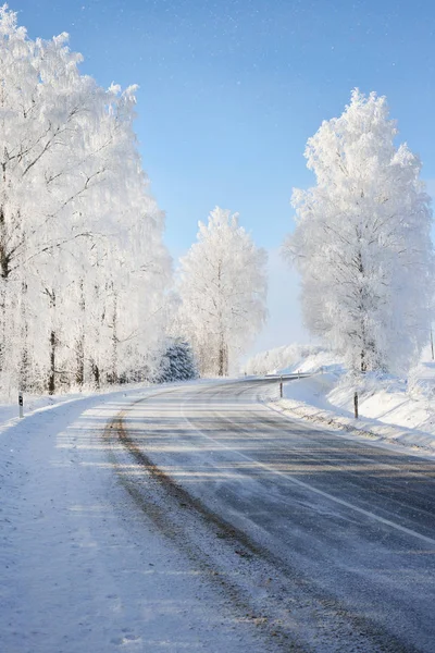 겨울 원더랜드 snowcovered 숲도로 — 스톡 사진