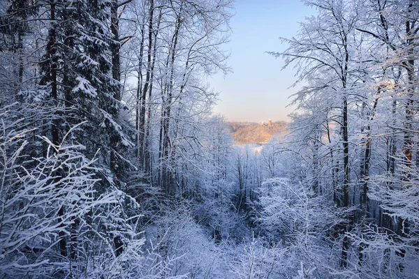 Turaida Burg in Lettland im Winter — Stockfoto