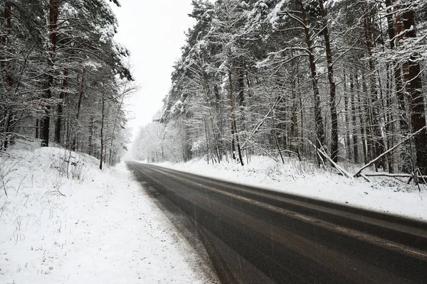 karla kaplı bir ormanda yol asfalt