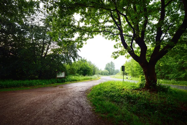 Ghiaia e asfalto incrocio stradale in una foresta — Foto Stock