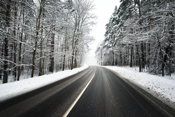 Aszfalt road, hóval borított erdő — Stock Fotó