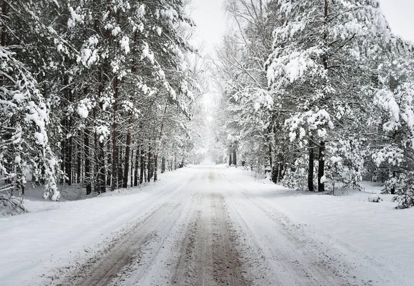Nezpevněné zimní lesní cesta — Stock fotografie