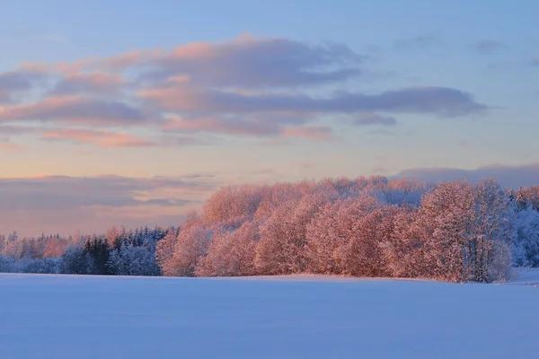 Zimní venkovské krajiny při západu slunce — Stock fotografie