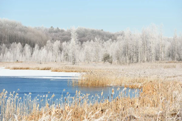Jezero uprostřed zasněžených luk a lesa — Stock fotografie