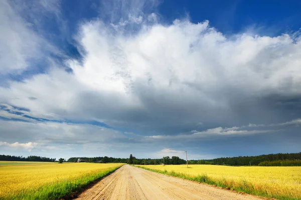 Camino de grava en campos de cultivo agrícola — Foto de Stock