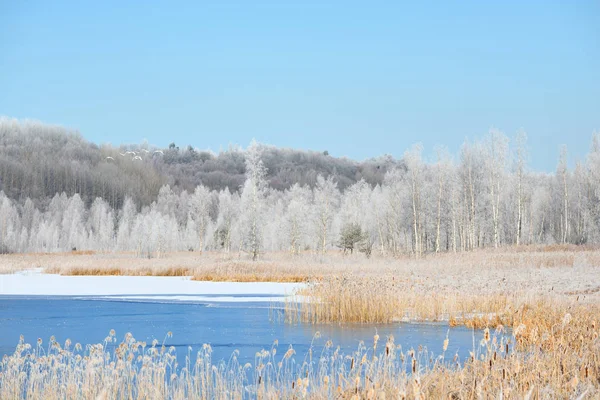 Meer omgeven door de besneeuwde weiden en bos — Stockfoto