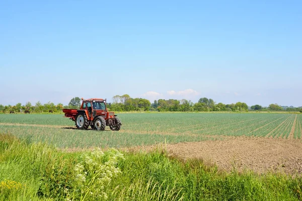 Traktor pracující na poli — Stock fotografie