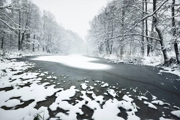 新鮮な雪で覆われた森林湖 — ストック写真