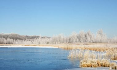 karlı çayır ve orman tarafından çevrili Gölü 