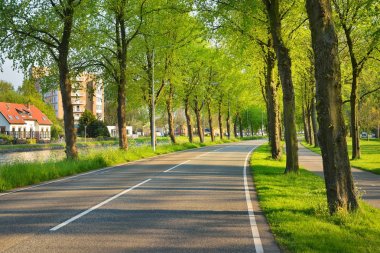 Güzel bisiklet yol ağaçlarıyla çevrili