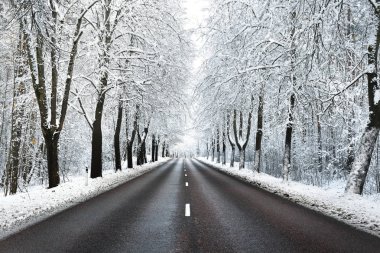 Kar sokak ağaçları ve yolun kapalı