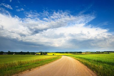tarımsal ürün alanlarda çakıl yol